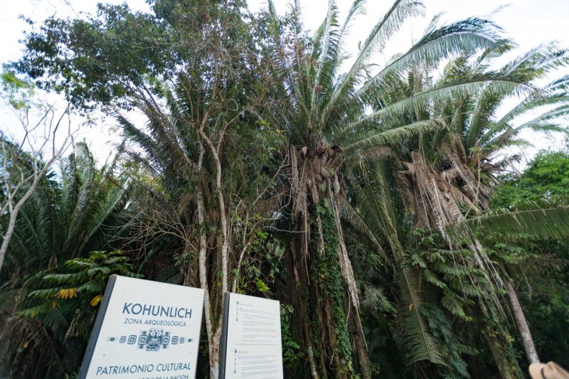 MayaKohunlich-3-of-48